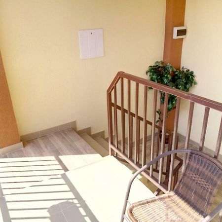 Camere De Inchiriat Carpati 胡内多阿拉 外观 照片