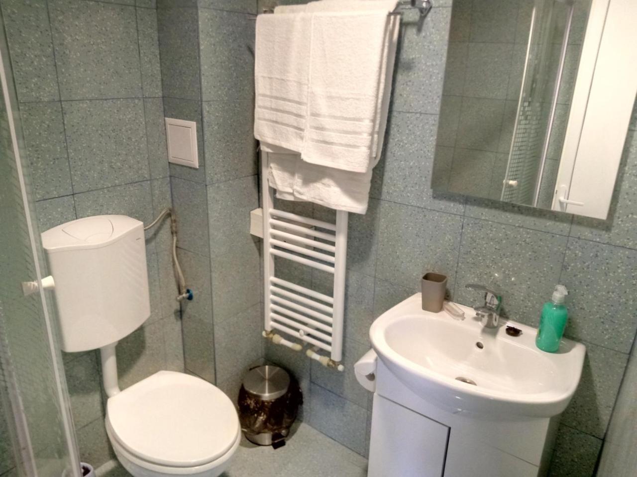 Camere De Inchiriat Carpati 胡内多阿拉 外观 照片