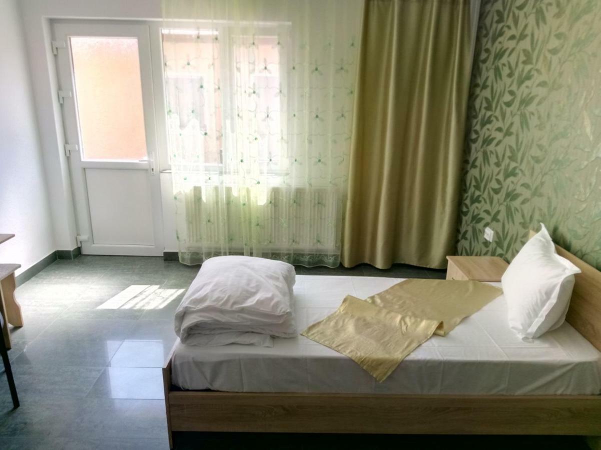 Camere De Inchiriat Carpati 胡内多阿拉 外观 照片