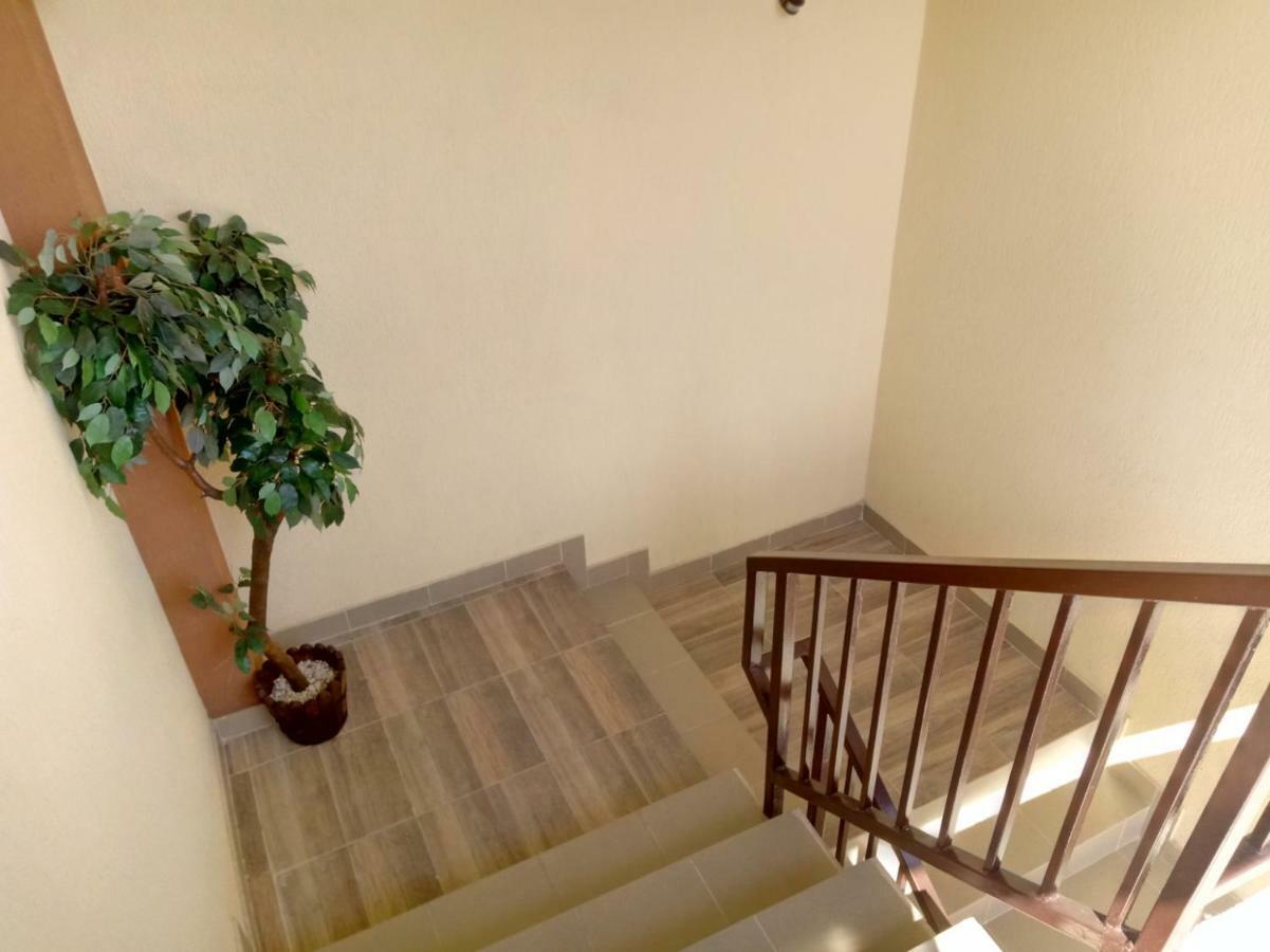 Camere De Inchiriat Carpati 胡内多阿拉 外观 照片